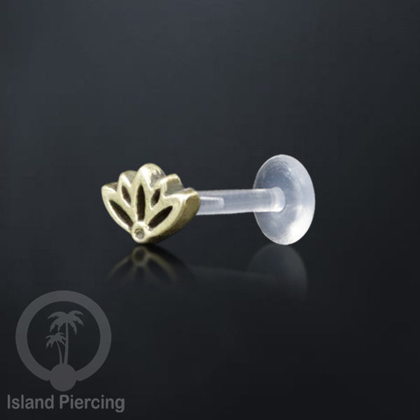 Labret bioplastik dengan bagian depan kuningan Tindik piercing Stainless tragus, daith, helix, Push system