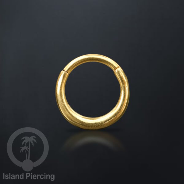 Hinged Segment Ring Anting Tindik Clicker Stainless warna gold, Septum, Tragus, Daith, Helix