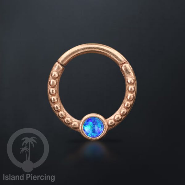 Hinged Segment Ring Piercing Tragus Anting Labret