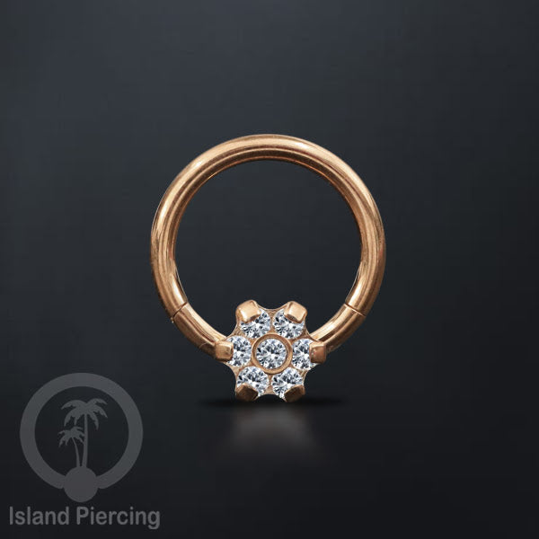 Piercing Stainless Segment Ring Tindik Stainless 7 kristal zircon Anting telinga & hidung