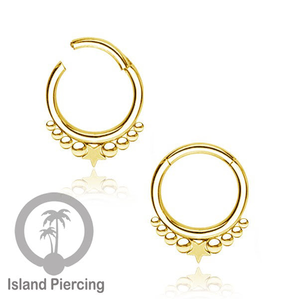 Anting Helix Piercing septum nose jewelry warna emas PVD stainless