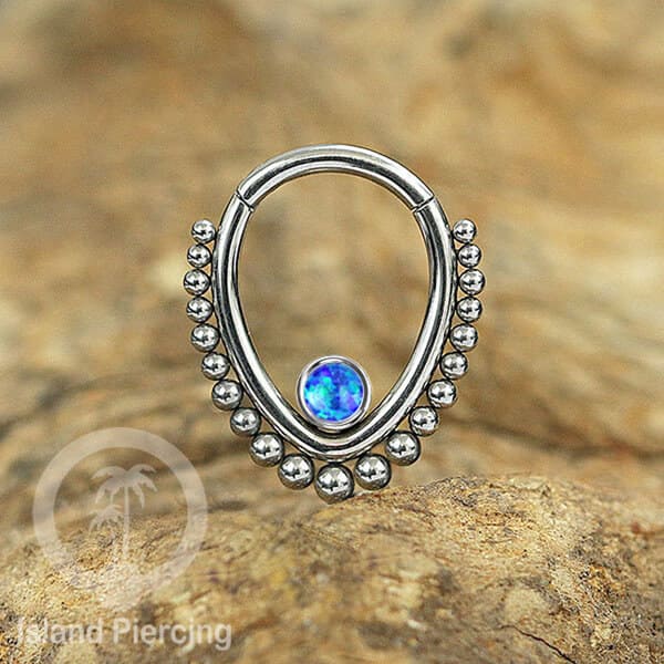 Hinged Segment Ring Piercing Tragus Anting Labret warna silver