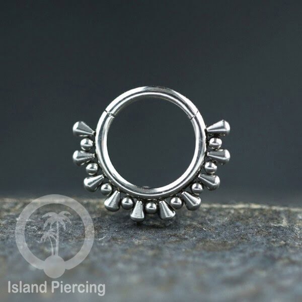 Anting Piercing Stainless Hinged Segment Ring Septum Jewelry warna silver