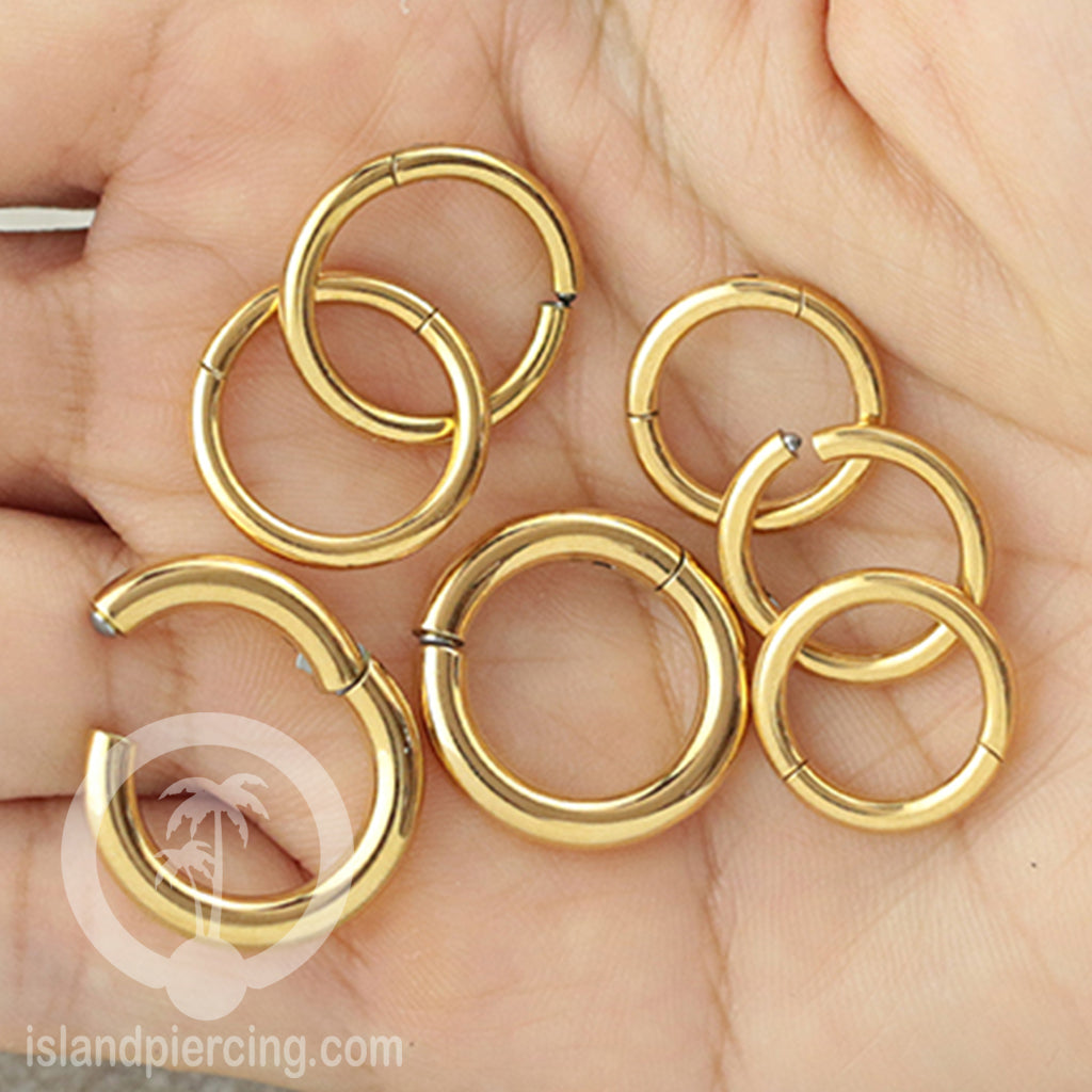 Anting stainless piercing hinged segment ring tebal 2&3mm warna silver,gold,hitam