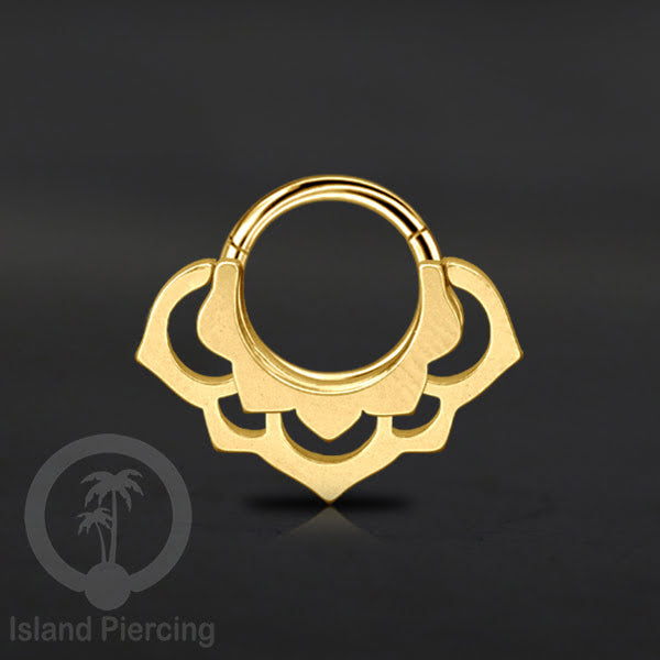 Anting Tindik Stainless Segment Ring yang unik Body Jewelry untuk Telinga dan Septum warna gold