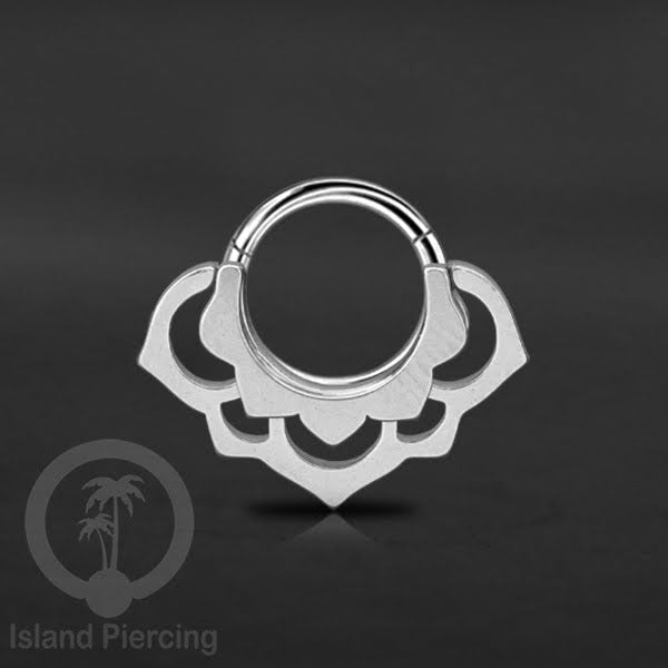 Anting Tindik Stainless Segment Ring yang unik Body Jewelry untuk Telinga dan Septum warna silver