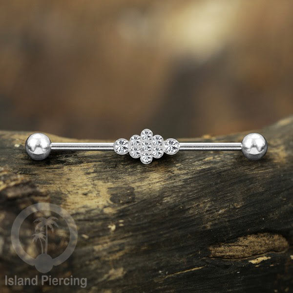 Anting Industrial Piercing stainless istemewa warna Silver dengan Kristal Zirconia