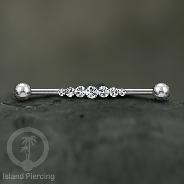 Anting Industrial Piercing stainless istemewa warna Silver dengan Kristal Zirconia
