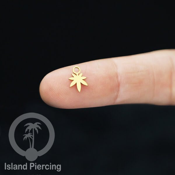 Body Jewelry Charm stainless yang bisa di pasang sebagai DIY warna gold