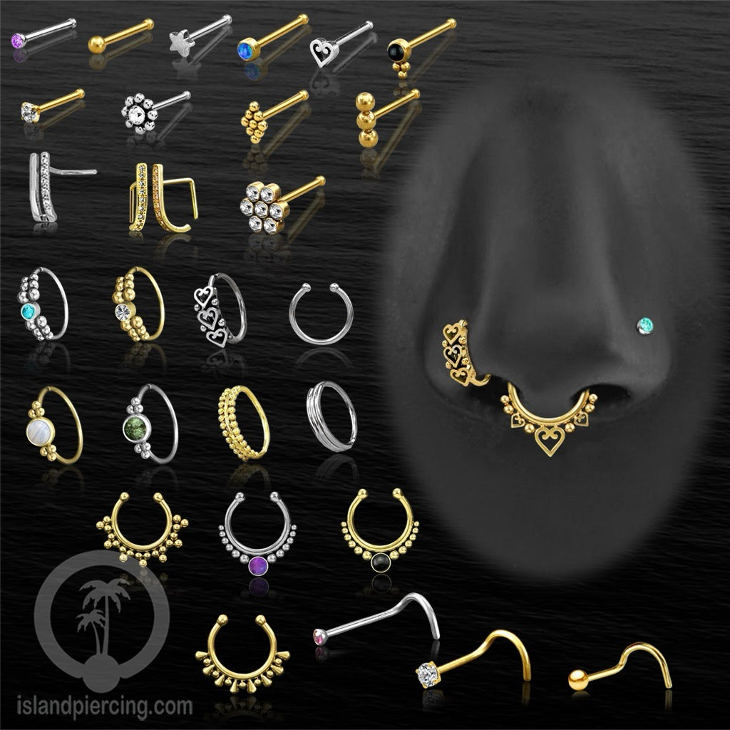 Nose Jewelry