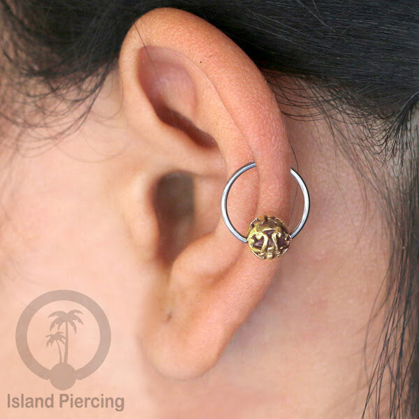 Tindik Stainless Piercing BCR dengan bola Kuningan banyak pilihan yang unik
