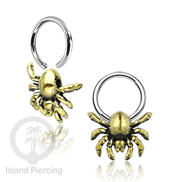 BCR piercing stainless dengan dekorasi kuningan banyak pilihan yang menarik