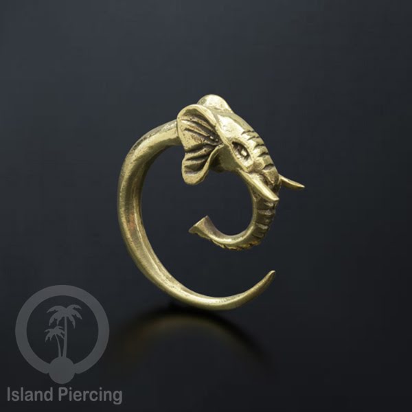 Tindik kuningan, tindik gajah, tindik ular, tindik tokek, tindik capung.