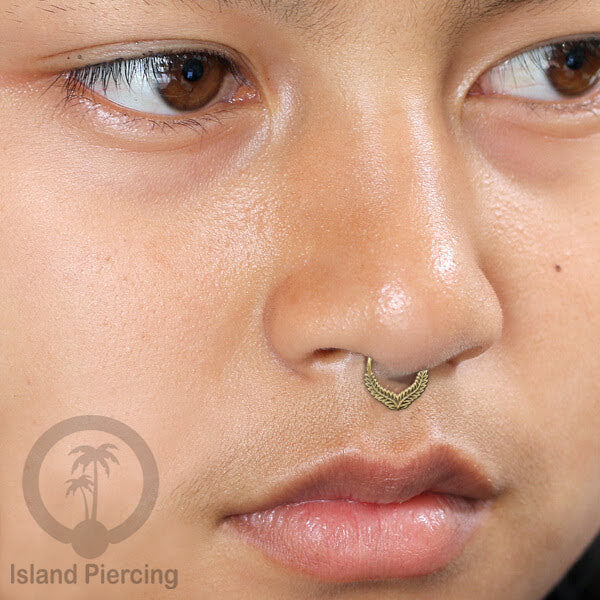 Septum Piercing dan Tindik anting Kuningan telinga Helix dan Tragus Piercing Istimewa