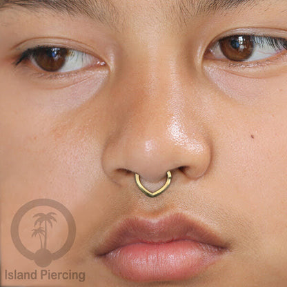 Septum Piercing dan Tindik anting Kuningan telinga Tragus, Daith &amp; Helix Piercing
