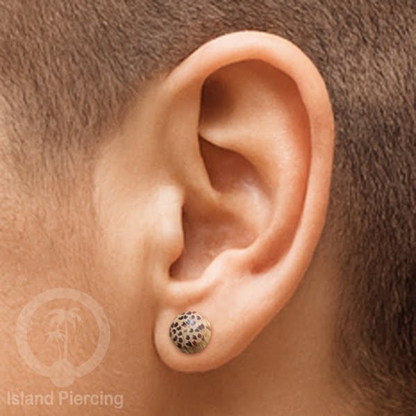 Fake Wooden plugs, Anting Tindik palsu sistem mur dari banyak pilihan jenis Kayu