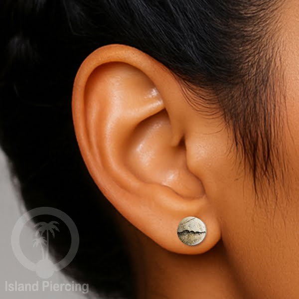 Fake Wooden plugs, Anting Tindik palsu sistem mur dari banyak pilihan jenis Kayu