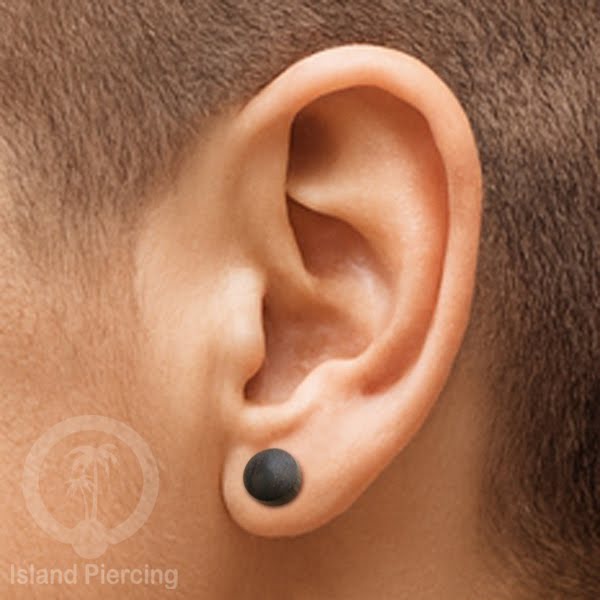 Fake Wooden plugs, Anting Tindik palsu sistem mur dari banyak pilihan jenis Kayu