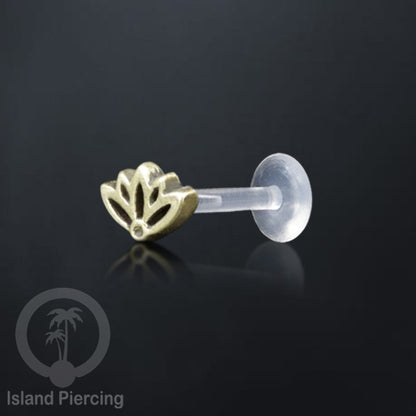 Labret bioplastik dengan bagian depan kuningan Tindik piercing Stainless tragus, daith, helix, Push system