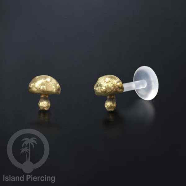 Labret bioplastik dengan kepala Kuningan Tindik Piercing Bibir atau Telinga, Tragus, Helix Daith.
