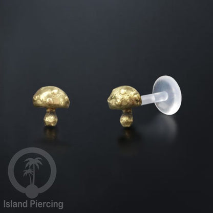 Labret bioplastik dengan kepala Kuningan Tindik Piercing Bibir atau Telinga, Tragus, Helix Daith.