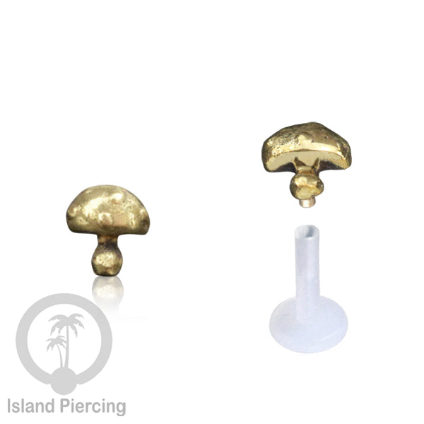 Labret bioplastik dengan kepala Kuningan Tindik Piercing Bibir atau Telinga, Tragus, Helix Daith.