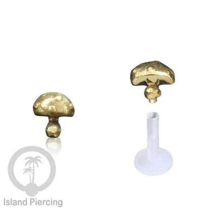 Labret bioplastik dengan kepala Kuningan Tindik Piercing Bibir atau Telinga, Tragus, Helix Daith.