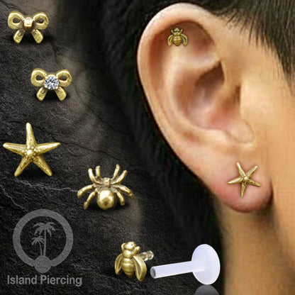 Labret Tindik Bioplastik dengan kepala Kuningan, Helix &amp; Tragus Brass Piercing Push System