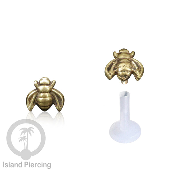 Labret Tindik Bioplastik dengan kepala Kuningan, Helix &amp; Tragus Brass Piercing Push System