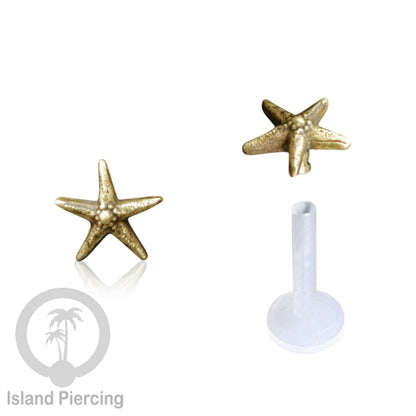 Labret Tindik Bioplastik dengan kepala Kuningan, Helix &amp; Tragus Brass Piercing Push System