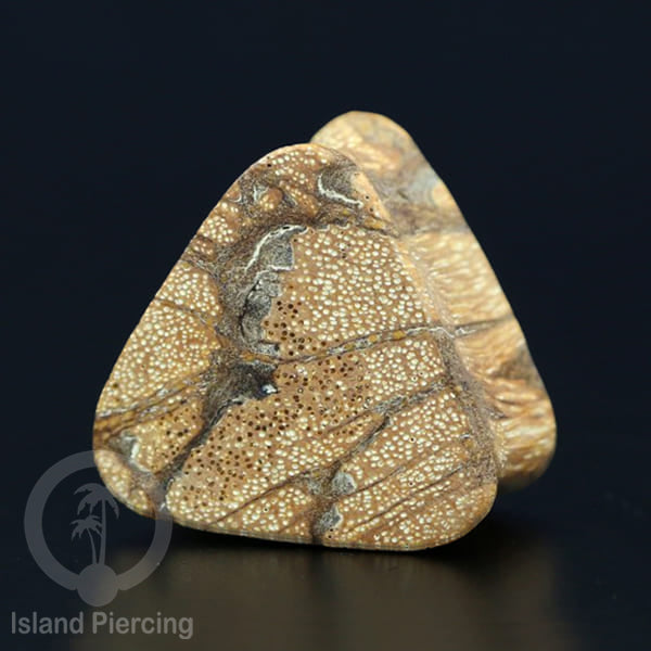 Plug tindik Segitiga dari kayu Sono dan Kayu Arang, Triangle shaped Wood Plug Piercing