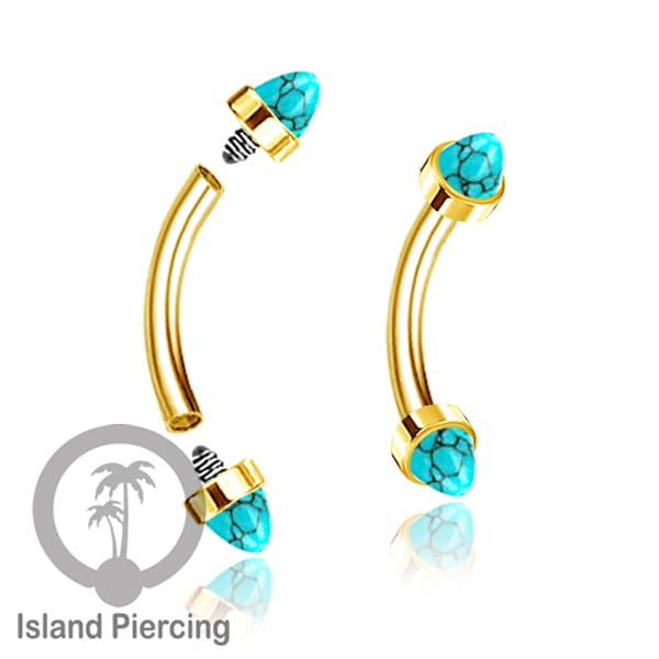Tindik Alis dan Rook Piercing Curved Barbell warna silver pakai batu peluru