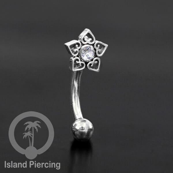 Curved Barbell Eyebrow Piercing banyak pilihan Tindik Alis dan Rook warna silver Kristal bening