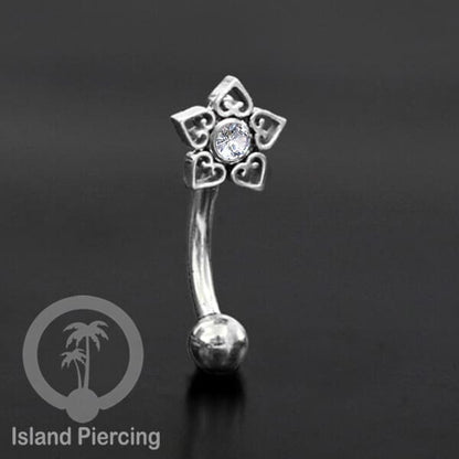 Curved Barbell Eyebrow Piercing banyak pilihan Tindik Alis dan Rook warna silver Kristal bening