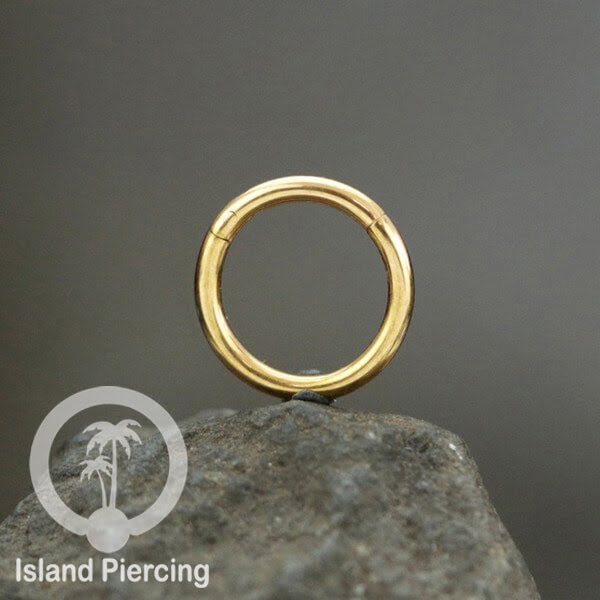 Anting Stainless Piercing Segment ring banyak pilihan ukuran Gold &amp; Rose gold