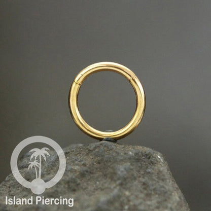 Anting Stainless Piercing Segment ring banyak pilihan ukuran Gold &amp; Rose gold
