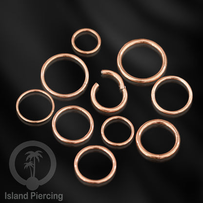Anting Stainless Piercing Segment ring banyak pilihan ukuran Gold &amp; Rose gold