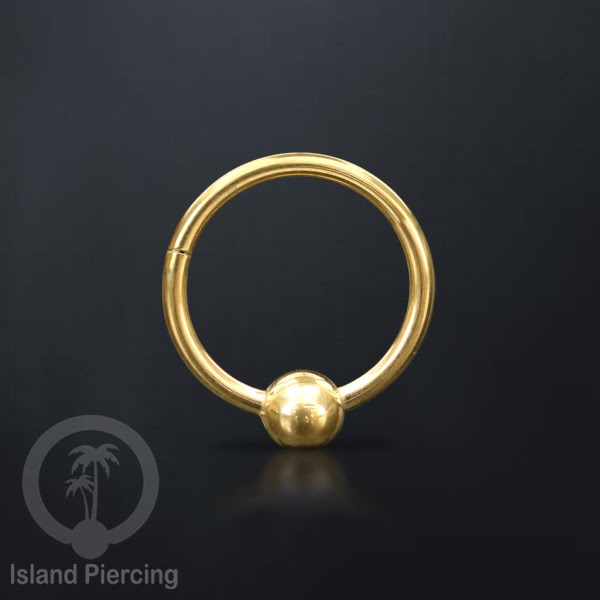 Hinged Segment ring polos yang terbuat untuk di pakai dalam mulut bawah bibir atas.