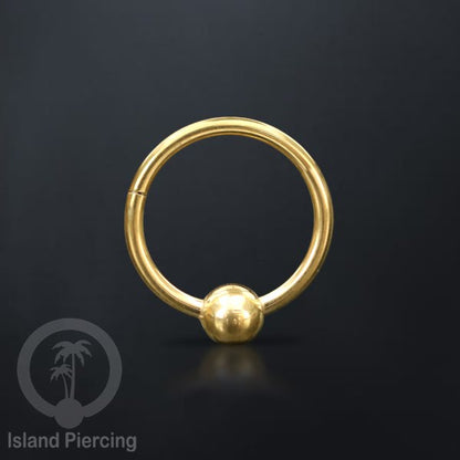 Hinged Segment ring polos yang terbuat untuk di pakai dalam mulut bawah bibir atas.