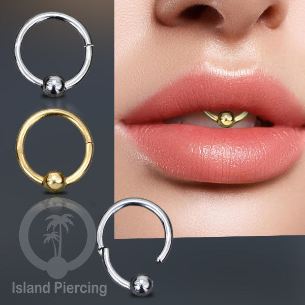Hinged Segment ring polos yang terbuat untuk di pakai dalam mulut bawah bibir atas.