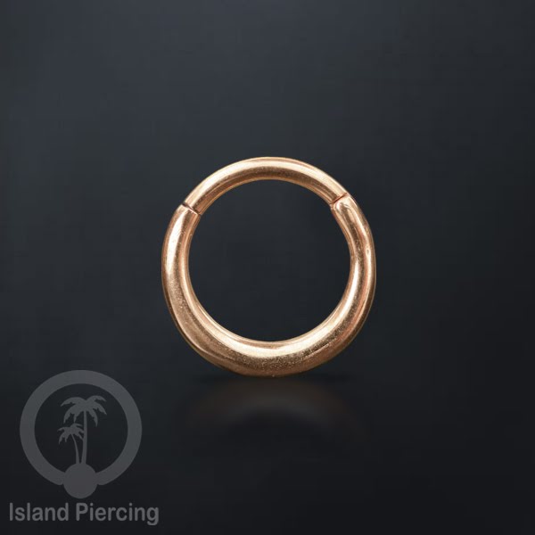 Hinged Segment Ring Anting Tindik Clicker Stainless warna rose gold, Septum, Tragus, Daith, Helix