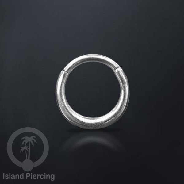 Hinged Segment Ring Anting Tindik Clicker Stainless warna silver, Septum, Tragus, Daith, Helix