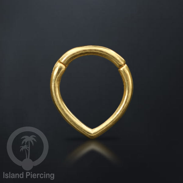 Hinged Segment Ring Anting Tindik Clicker Stainless warna gold, Septum, Tragus, Daith, Helix