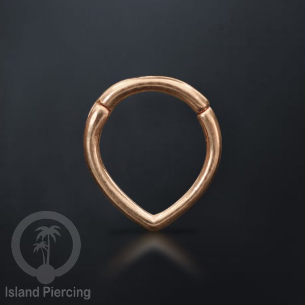 Hinged Segment Ring Anting Tindik Clicker Stainless warna rose gold, Septum, Tragus, Daith, Helix