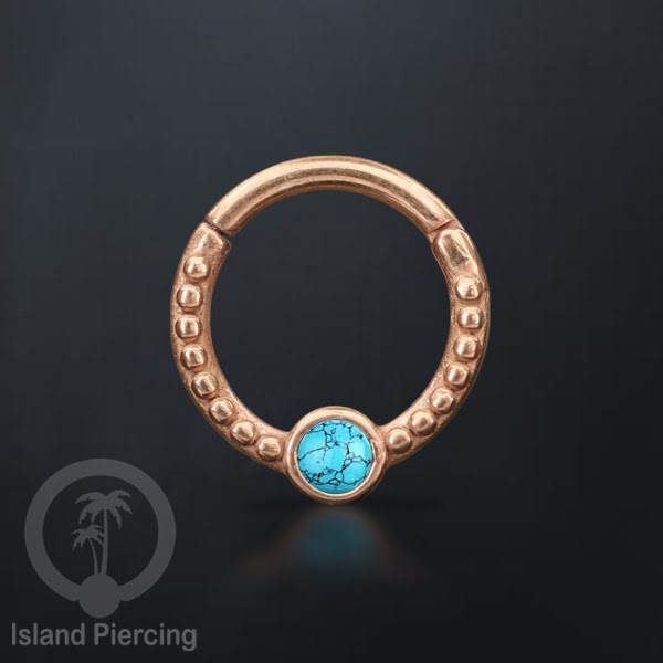 Hinged Segment Ring Piercing Tragus Anting Labret