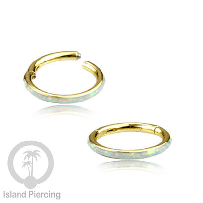 Tindik Hinged Segment steel ring Helix Piercing &amp; Anting Tindik Stainless Opal Putih &amp; Biru