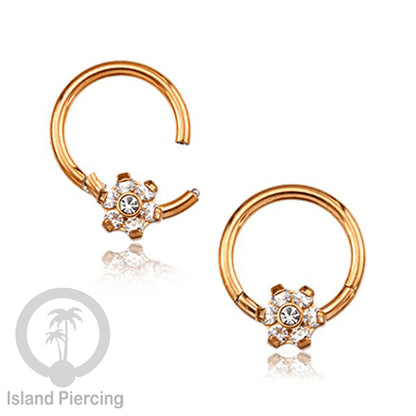 Piercing Stainless Segment Ring Tindik Stainless 7 kristal zircon Anting telinga &amp; hidung