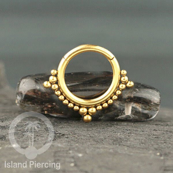 Stainless Anting piercing Septum Clicker Nose Piercing tragus helix