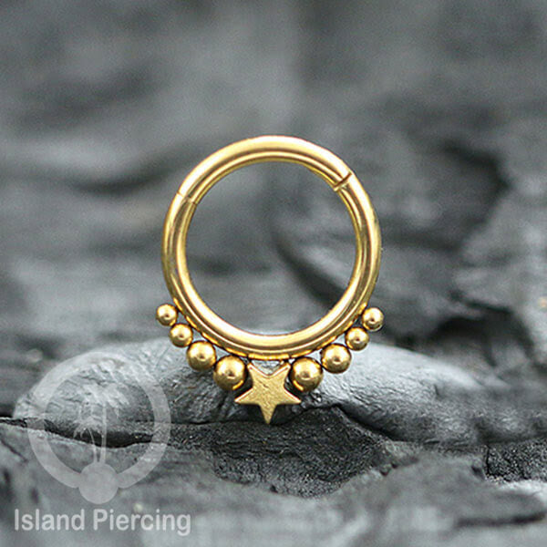 Anting Helix Piercing septum nose jewelry warna emas PVD stainless