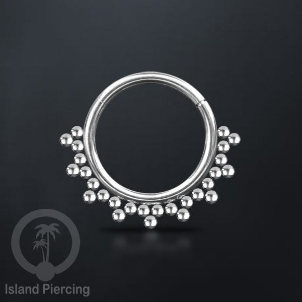 Stainless Steel Anting Clicker Septum Piercing Anting Tindik Tragus, Daith, Helix warna silver